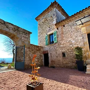 Domaine De Lejos - Portes D'albi Bed & Breakfast Lamillarie